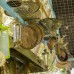 Sunmed Lodge в Олюденизе: бюджетное размещение в бунгало