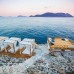 Lycia Hotel в Каше: что это за отель и кому он подойдёт