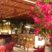Regal Hotel, Битез (Турция) — мой взгляд на отель