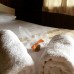 Aga Motel в Каше: честный обзор отеля