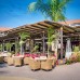 Sofitel The Palm 5* — отель на Пальме Джумейра, Дубай