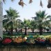 Club Hotel Sidera 5* в Аланье — подбор тура