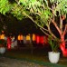 Negombo Village Guesthouse 2* — гестхаус в Негомбо