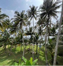 Galawatta Beach Resort 2*