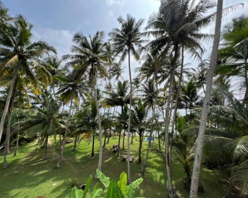 Galawatta Beach Resort 2* — Унаватуна, Шри-Ланка