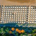 Arum Barut Collection 5* — семейный отель на первой линии в Сиде