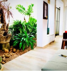 Hotel Dorset 3*