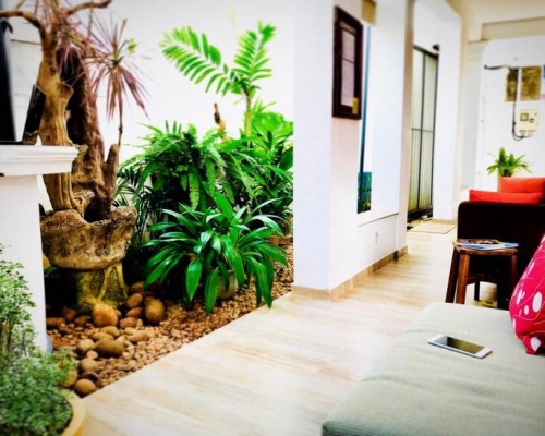 Hotel Dorset 3* в Негомбо: что важно знать перед бронированием