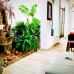 Hotel Dorset 3* в Негомбо: что важно знать перед бронированием