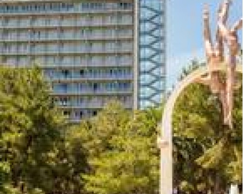 Объединение пансионатов курорта Пицунда, Пицунда