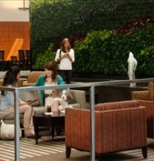 Embassy Suites Hotel At Los Marlins Grand Resort 3*
