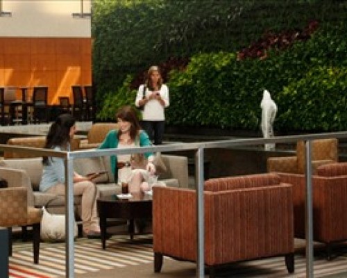 Embassy Suites Hotel At Los Marlins Grand Resort, Хуан Долио