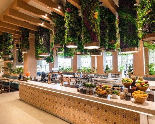 Hard Rock Hotel & Casino Punta Cana 5* — Пунта-Кана, Доминикана