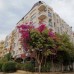 Отель Golden Rose 3* в Хургаде