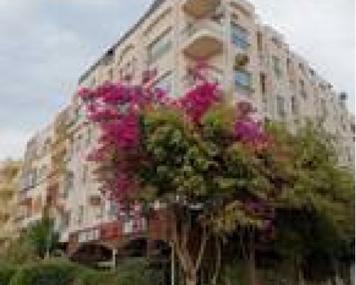 Отель Golden Rose 3* в Хургаде