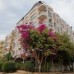 Отель Golden Rose 3* в Хургаде