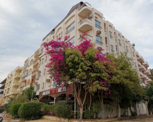 Отель Golden Rose 3* в Хургаде