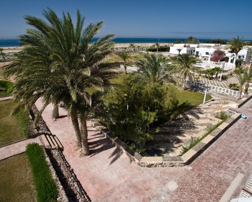 Moses Bay 3* — отель на первой линии в Шарм-эль-Шейхе