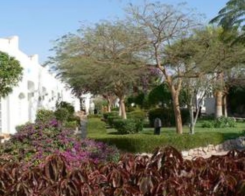 Naama Sun Club 3* — Шарм-эль-Шейх, район Наама Бэй