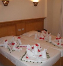 Orcana 3*