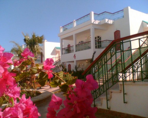 Resta Club Resort 3* в Шарм-эль-Шейхе: честный обзор