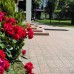 Отель Аибга в Гагре: честный обзор без прикрас