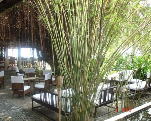 Nha Trang Sky Hotel 3* в Нячанге: что известно точно
