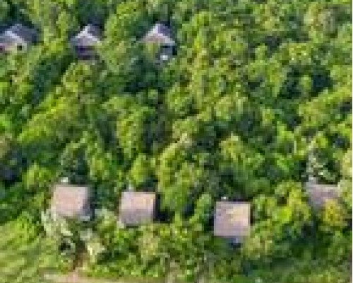 Mango Bay Resort 3* — уютный отель на первой линии Фукуока