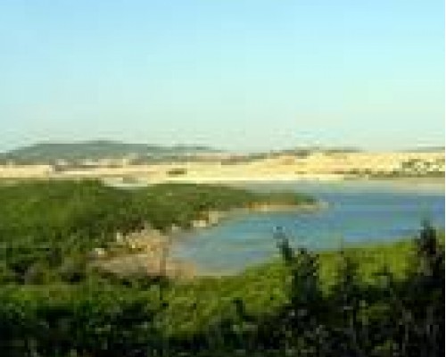 Whale Island Resort 3* — Нячанг: что важно знать перед бронированием
