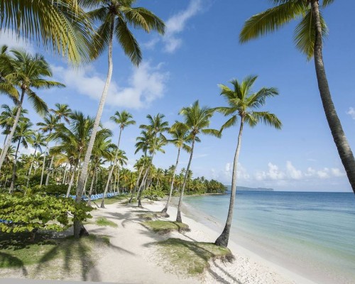 Select at Grand Paradise Samana 4* — Лас-Галерас, Самана
