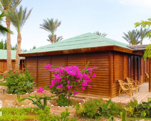 Abu Dabab Diving Lodge 4* — Марса Алам, Египет