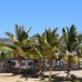 Mangrove Bay Resort 3* — Марса Алам, Египет