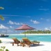 Naladhu Private Island Maldives 5* — Южный Мале, Мальдивы