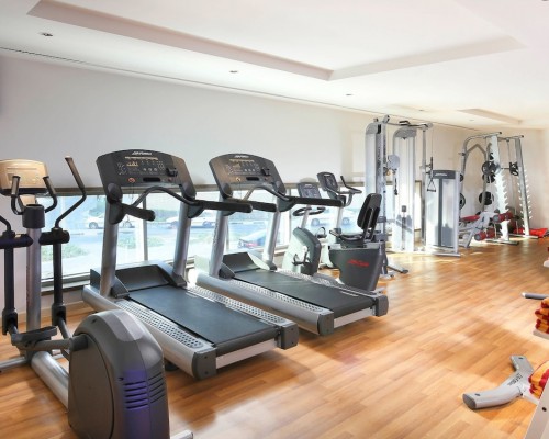 Ibis 3*