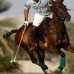 Somerset El Majara 5*