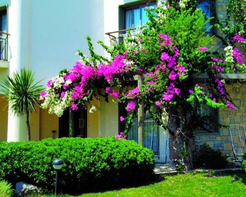 Amilla Beach Resort Bodrum 4* — Битез, первая линия