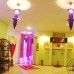 Akropol Resort & SPA 3* (Кестел, Турция): подбор тура