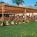 MC Arancia Resort Hotel 5* в Конаклы: честный обзор турагента