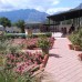 Ares Hotel Kemer 3*: честный обзор от турагента