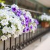 Asdem Park 4* в Кемере: подбор тура под ваш отдых