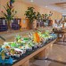 Can Garden Resort 5* в Чолаклы: честный обзор и подбор тура