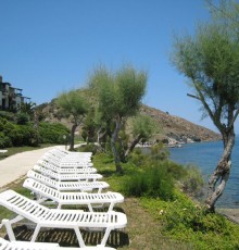 Club Flipper 4*