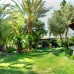 Club Hotel Arinna 4* в Бодруме — честный обзор от турагента