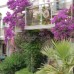 Club Mira Luna 4* — отель на первой линии в Бодруме