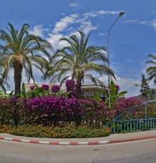 Daima Resort 5*