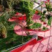 Dream Garden 3* в Конаклы: честный обзор от турагента Галины