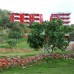 Dream Garden 3* в Конаклы: честный обзор от турагента Галины