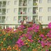 Gonul Palace Beldibi 3*: честный обзор от турагента
