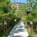 Armoni Paradise 4* (Аланья, Турция): обзор для подбора тура