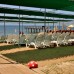 La Vita's Hotel 3* (Кумкой, Турция) — честный обзор для семейного отдыха
